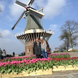 Windmill and tulips